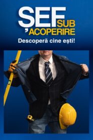 Șef sub acoperire (2025), serial online, watch the series online